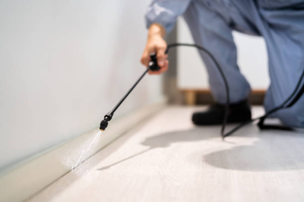 Licensed Termite Control service in Trenton, NJ - Nex Pest Control
