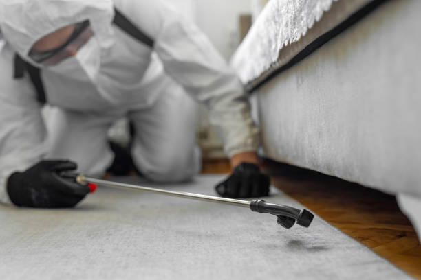 Professional Termite Control technician working in Trenton, NJ