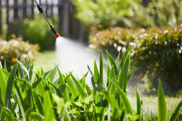 24/7 Emergency Termite Control experts in Trenton, NJ