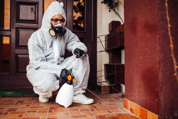 Reliable Termite Control contractor in Trenton, NJ by Nex Pest Control