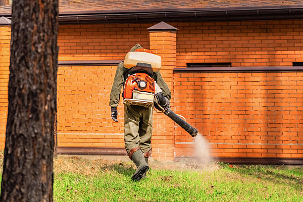 Trusted Rodent Control service in Trenton, NJ - Nex Pest Control